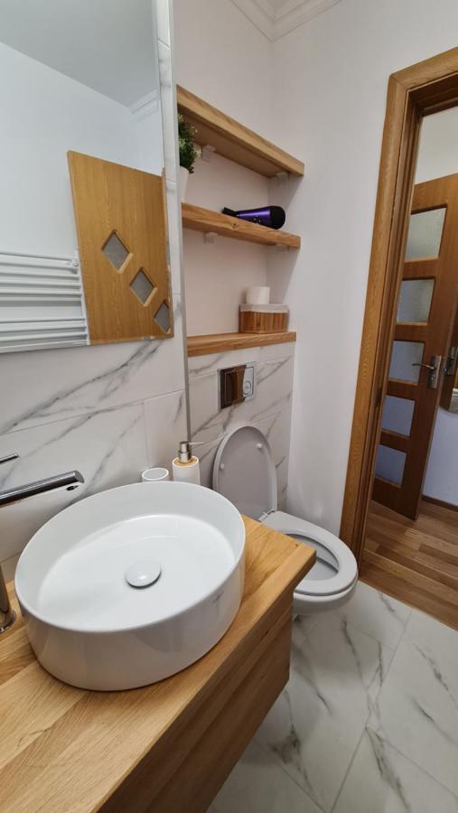 Vs Central Apartment Otopeni Exteriér fotografie